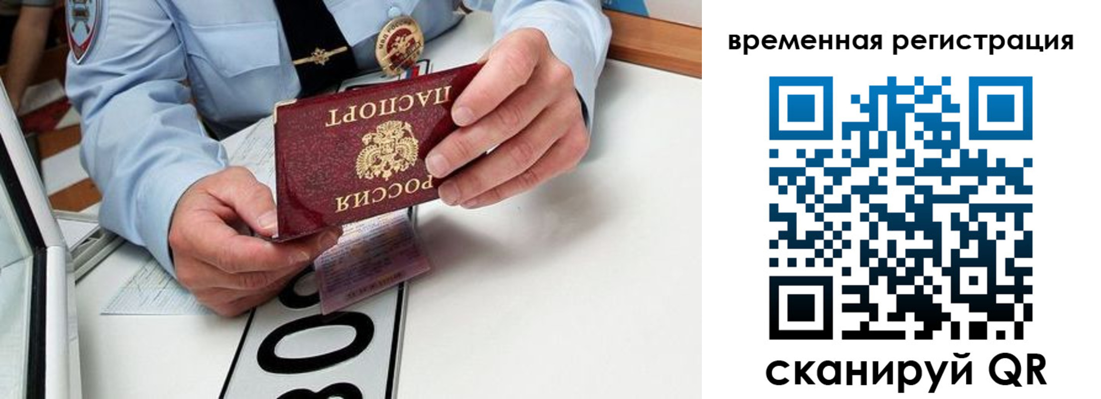 прописка гарантия в Озёрах